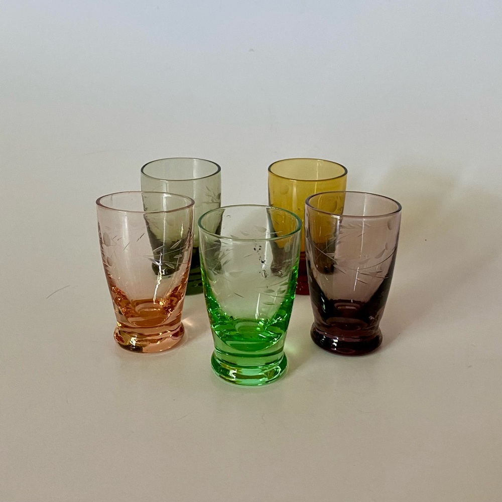 Vintage Mid-Century  Multicolor Floral Etched Shot Glass set of 5